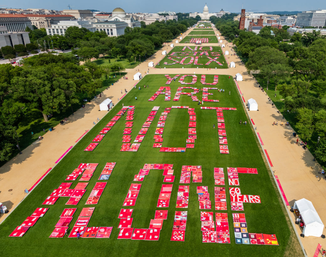A sweeping overhead photo of the National Mall with a huge quilt on display, which our app digitally recreates.